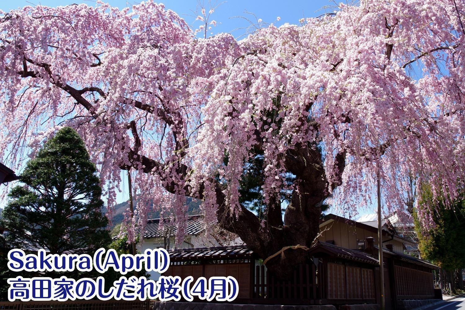 Nikko Stay House Arai - Vacation Stay 14988V Zewnętrze zdjęcie